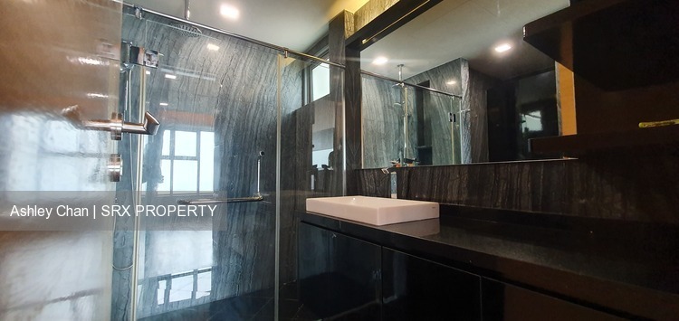 The Belvedere (D15), Condominium #209785171